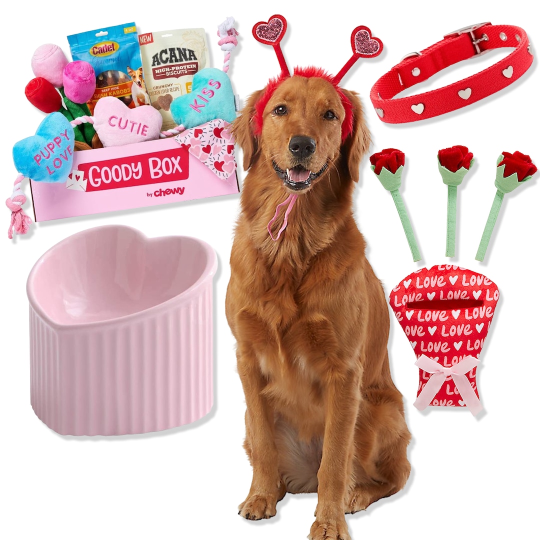 15 Valentine’s Gifts For Your Pets That Are Paws-itively Purrfect